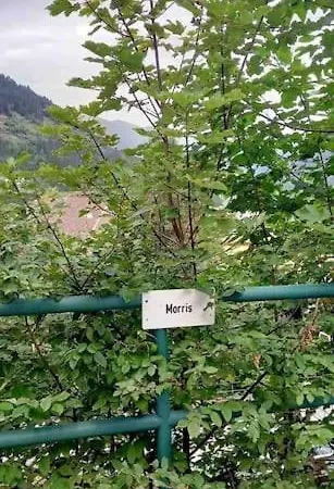 Morris