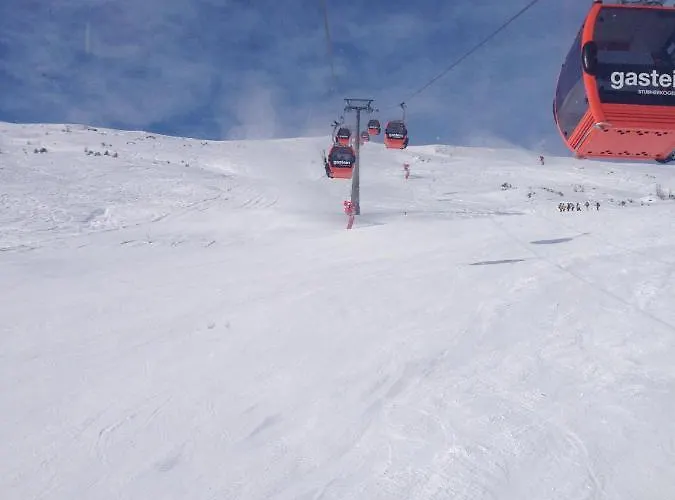 Appartement Morris *